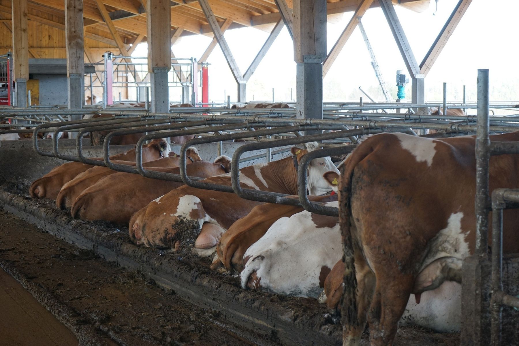 DSC01348.jpg © Julia Pflügl BSc DSC01348.jpg © Julia Pflügl BSc