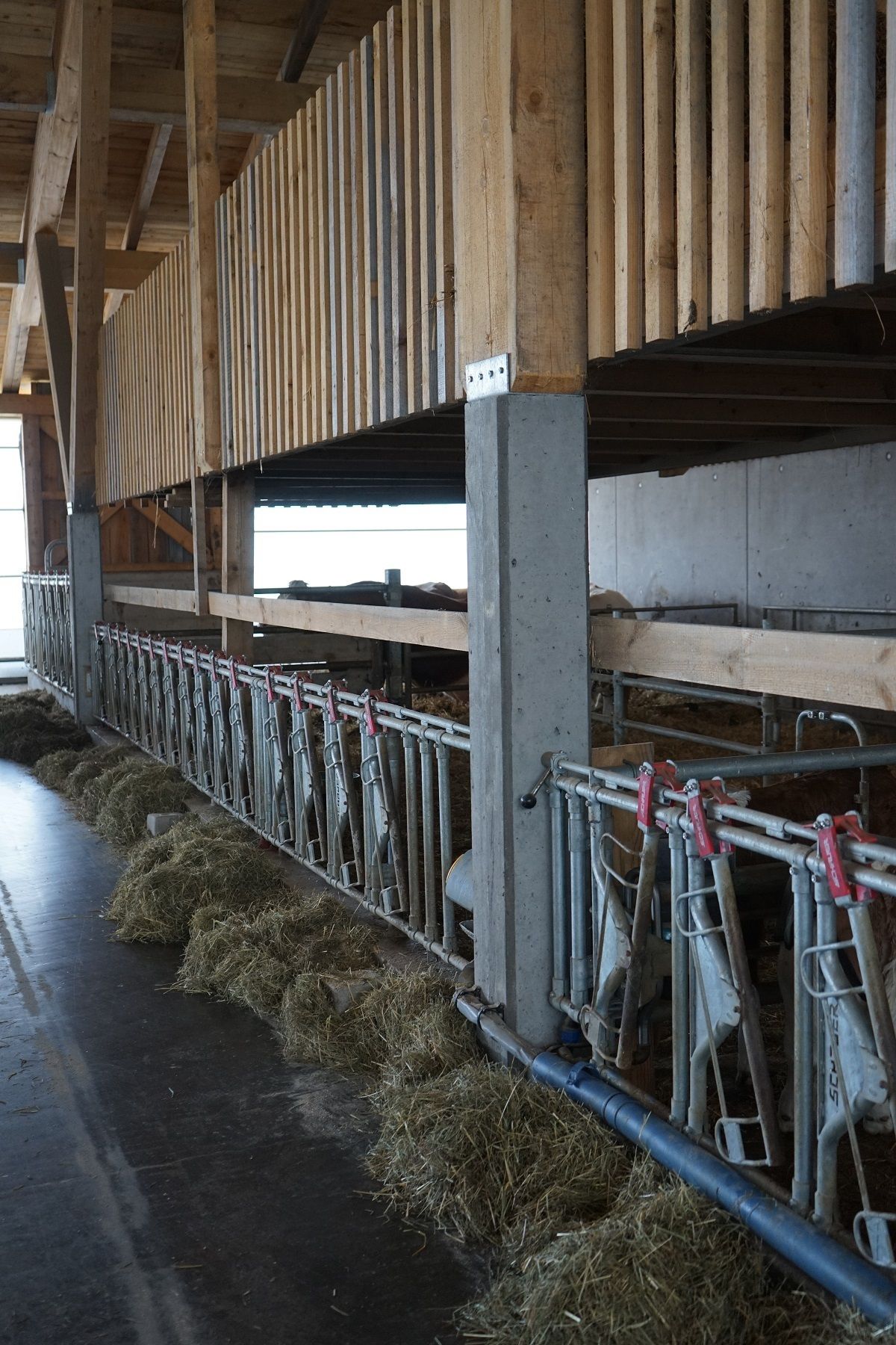 DSC01349.jpg © Julia Pflügl BSc DSC01349.jpg © Julia Pflügl BSc