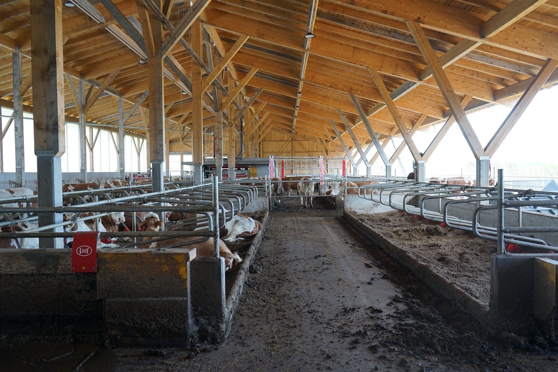 DSC01351.jpg © Julia Pflügl BSc DSC01351.jpg © Julia Pflügl BSc