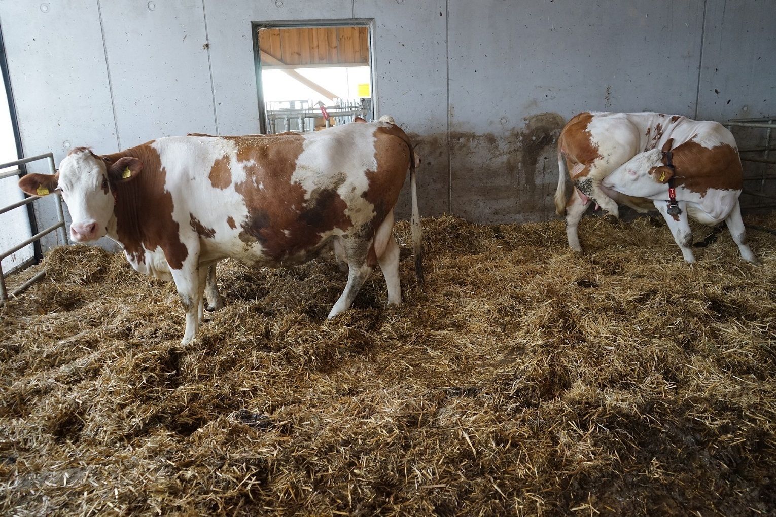 DSC01354.jpg © Julia Pflügl BSc DSC01354.jpg © Julia Pflügl BSc