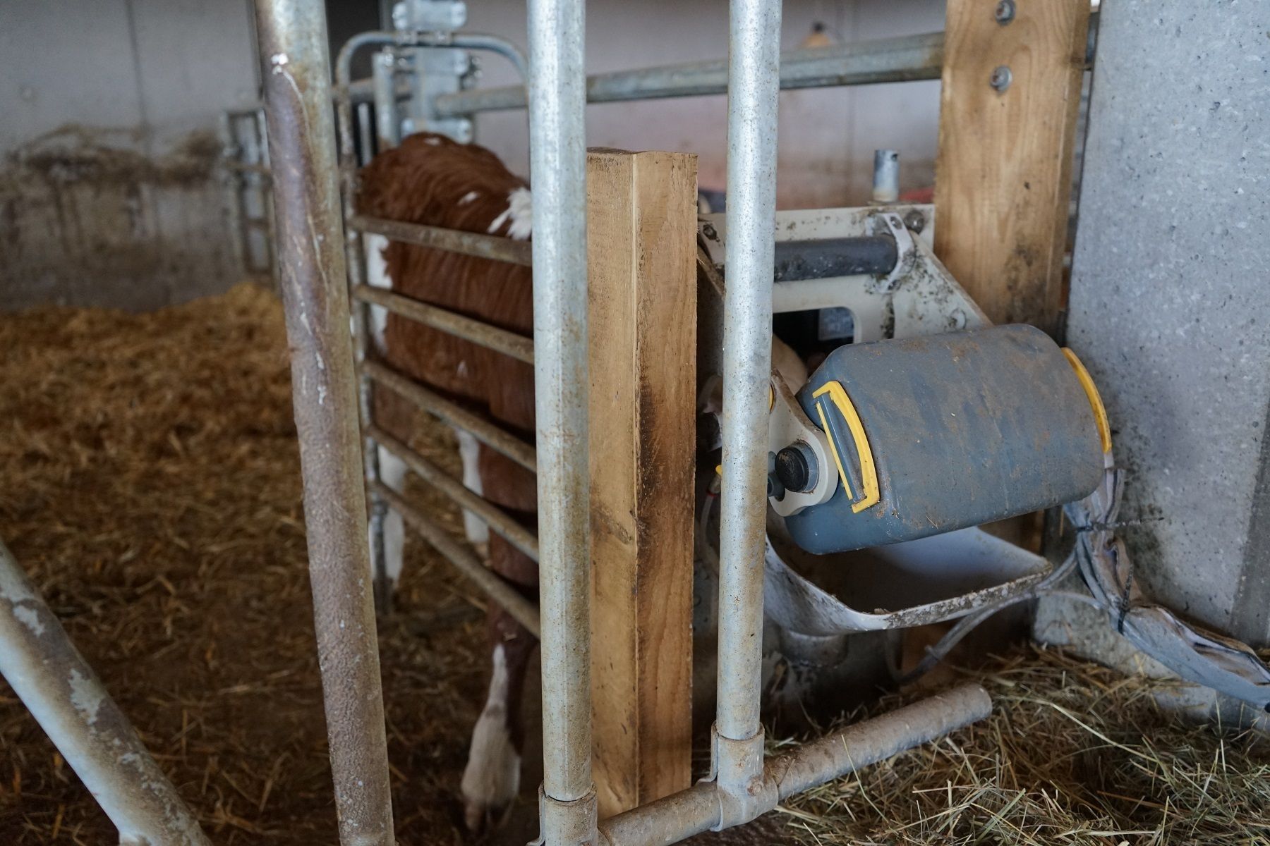 DSC01362.jpg © Julia Pflügl BSc DSC01362.jpg © Julia Pflügl BSc