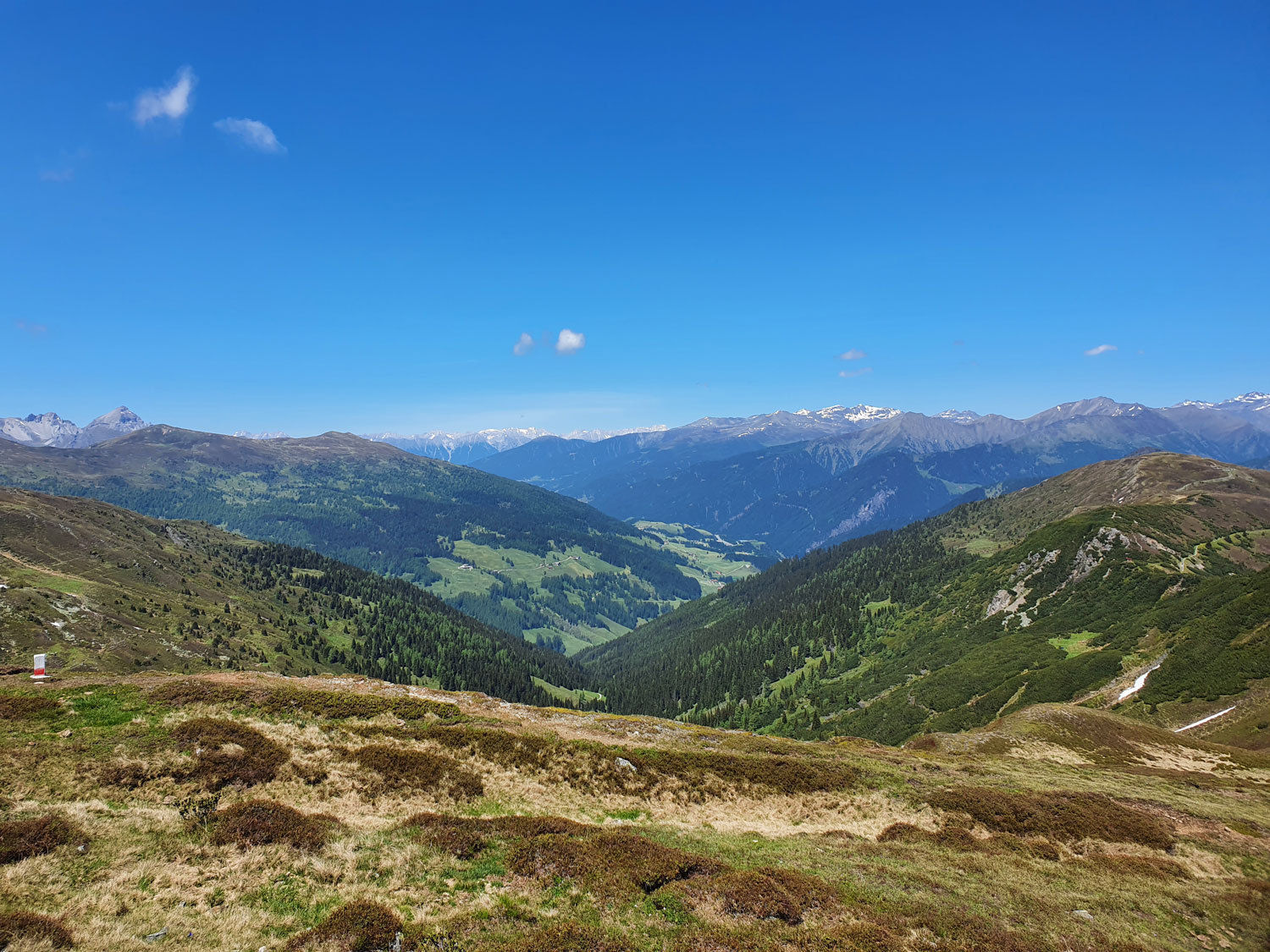 20200612_141926_LK-Tirol_Strickner.jpg © LK Tirol 20200612_141926_LK-Tirol_Strickner.jpg © LK Tirol