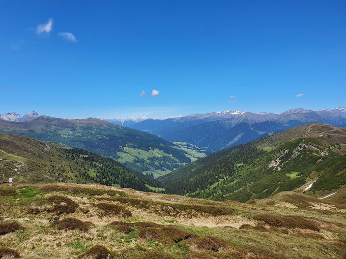 20200612_141926_LK-Tirol_Strickner.jpg © LK Tirol