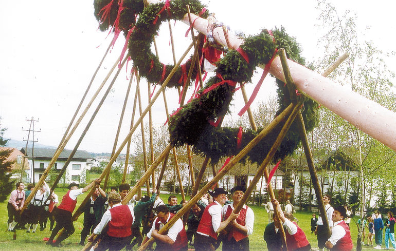 Maibaum 2.jpg © Standl Maibaum 2.jpg © Standl