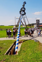 Maibaumaufstellen.jpg Maibaumaufstellen.jpg