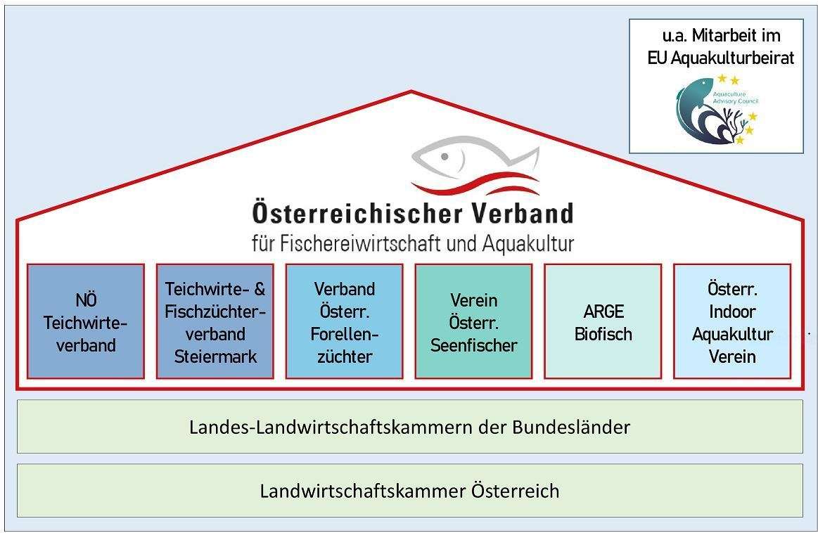 2023 ÖVFA Organigramm.jpg