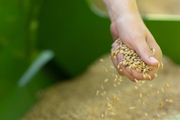 114_landwirtschaft_BFLA_2018.jpg © BLFA 114_landwirtschaft_BFLA_2018.jpg © BLFA