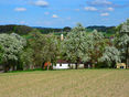 DSC_0111 © LKOÖ/Penninger