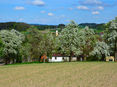 DSC_0111 © LKOÖ/Penninger