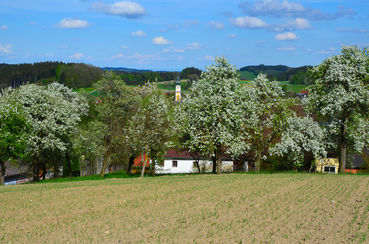 DSC_0111.jpg © Dr. Karl Penninger/Landwirtschaftskammer Oberösterreich DSC_0111.jpg © Dr. Karl Penninger/Landwirtschaftskammer Oberösterreich