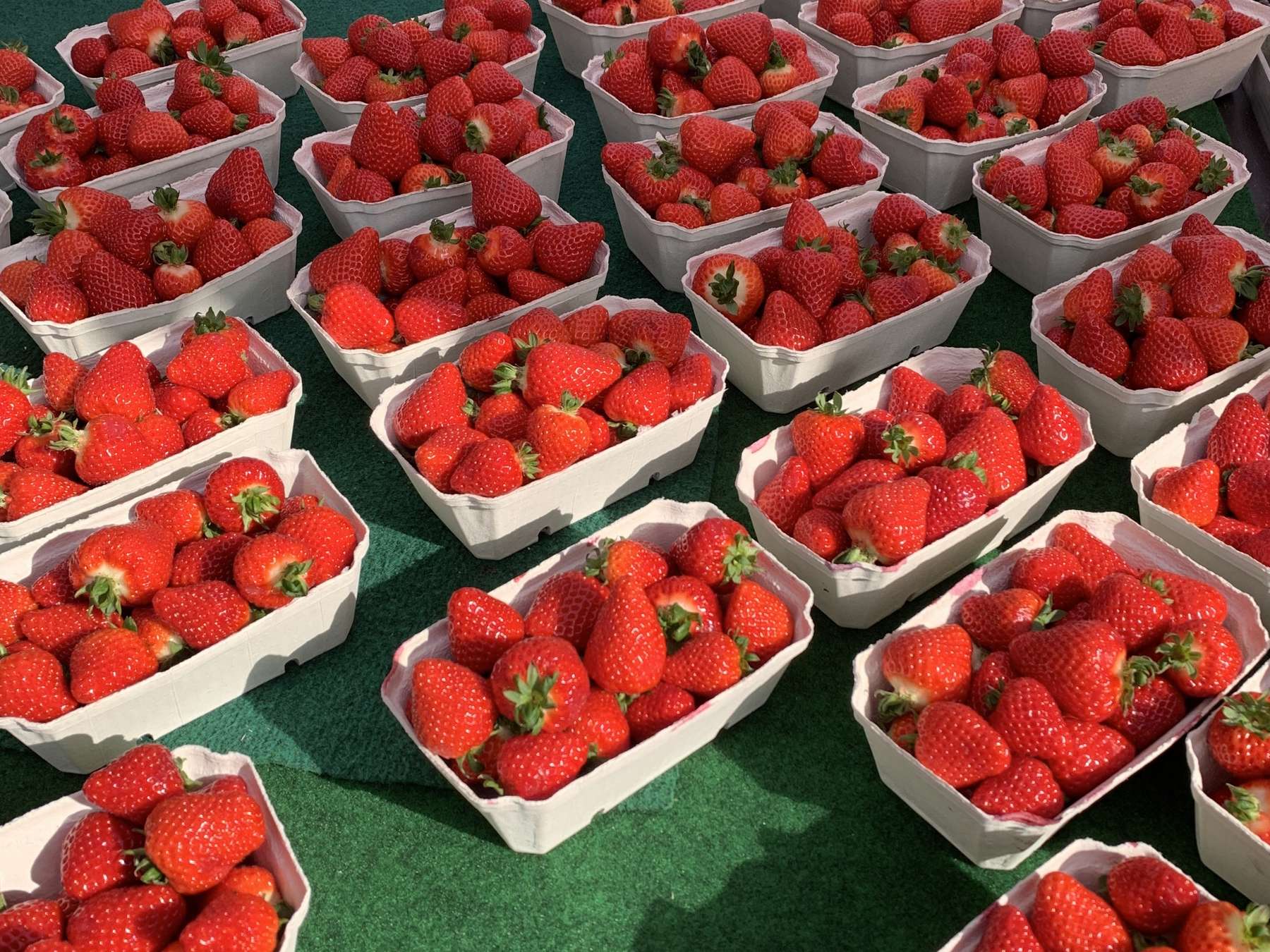 Erdbeeren2.jpg © Dürnberger Erdbeeren2.jpg © Dürnberger