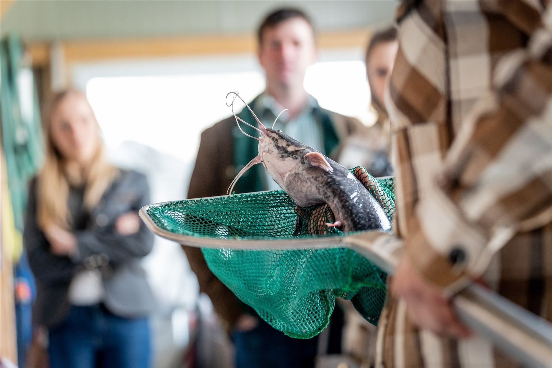 © Georg Pomaßl/LFA © Georg Pomaßl/LFA