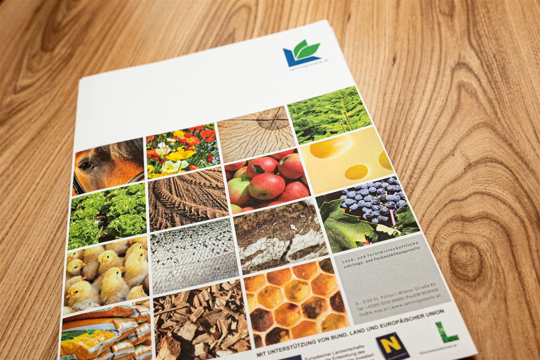 © Georg Pomaßl/LFA © Georg Pomaßl/LFA