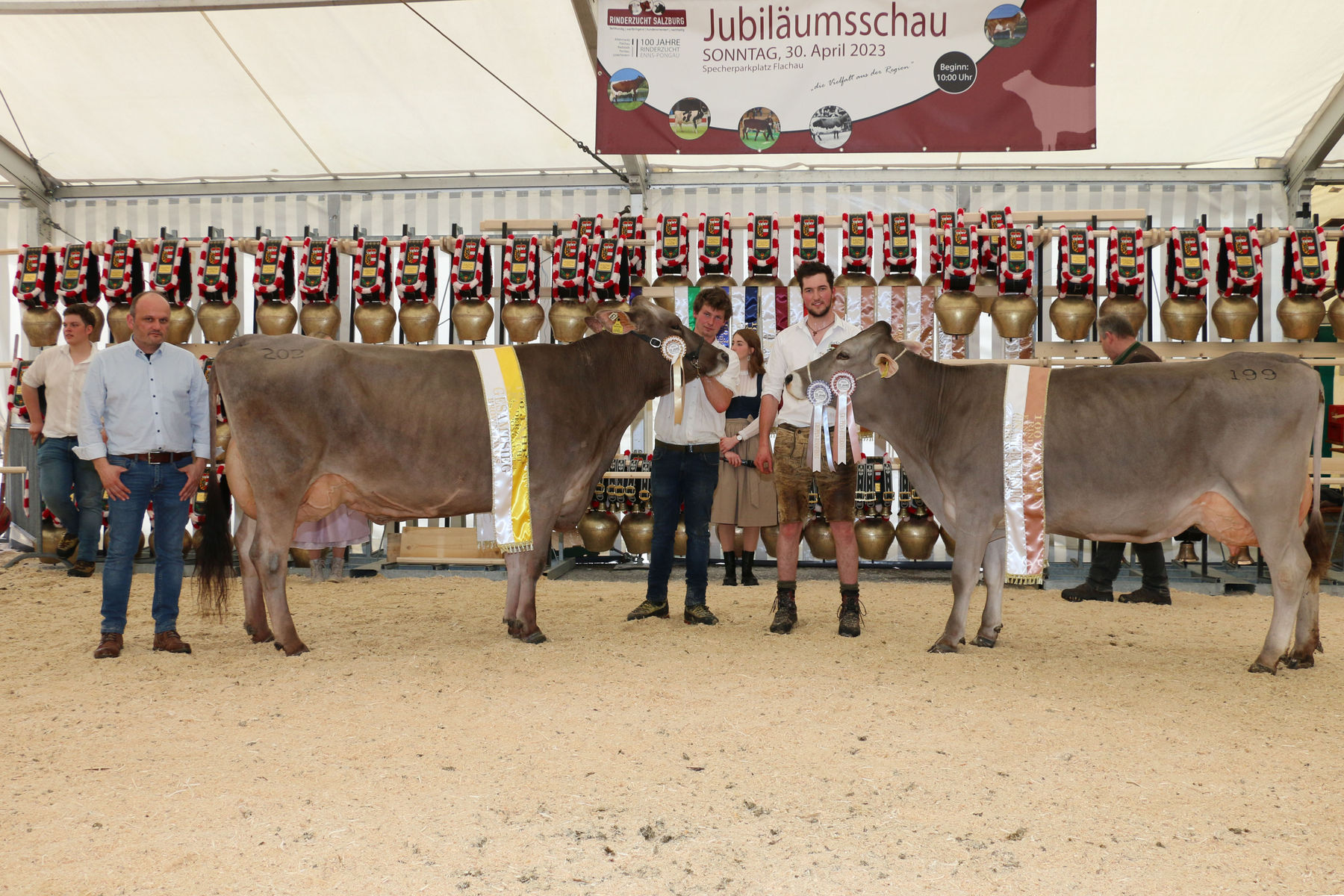 Hohe Qualitäten über alle Rassen hinweg – Jubiläumsschau Enns-Pongau.jpg © T. Sendlhofer Hohe Qualitäten über alle Rassen hinweg – Jubiläumsschau Enns-Pongau.jpg © T. Sendlhofer