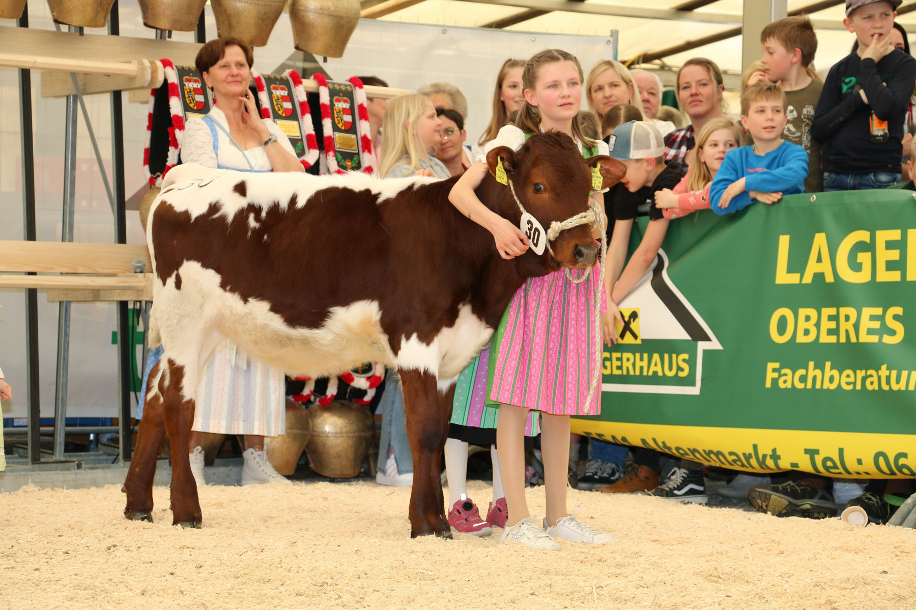 Hohe Qualitäten über alle Rassen hinweg – Jubiläumsschau Enns-Pongau.jpg © T. Sendlhofer Hohe Qualitäten über alle Rassen hinweg – Jubiläumsschau Enns-Pongau.jpg © T. Sendlhofer