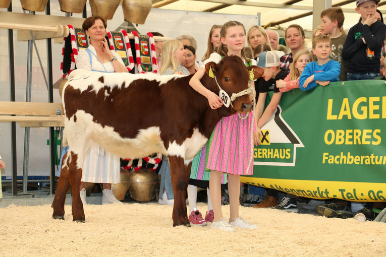 Hohe Qualitäten über alle Rassen hinweg – Jubiläumsschau Enns-Pongau.jpg © T. Sendlhofer