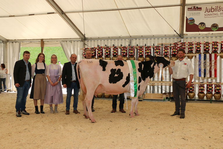 Hohe Qualitäten über alle Rassen hinweg – Jubiläumsschau Enns-Pongau.jpg © T. Sendlhofer