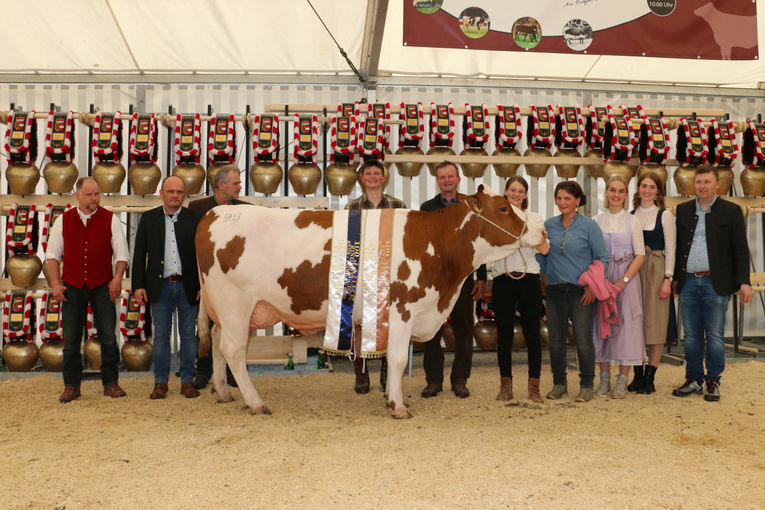 Hohe Qualitäten über alle Rassen hinweg – Jubiläumsschau Enns-Pongau.jpg © T. Sendlhofer