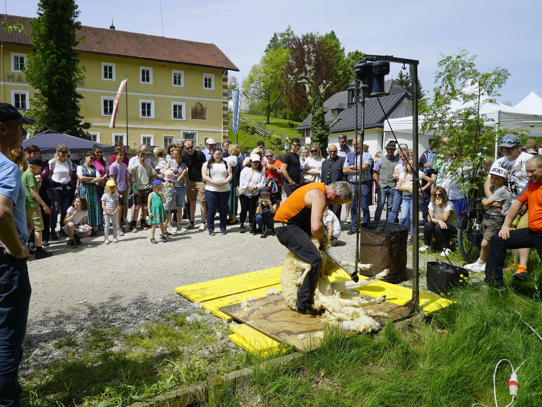 Tag der Schaf- und Ziegenhaltung_6.jpg © Kronreif