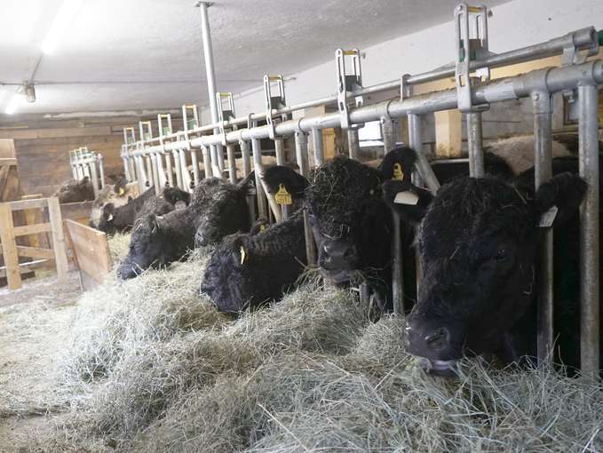 Quereinsteiger in die Landwirtschaft.jpg © Moser Quereinsteiger in die Landwirtschaft.jpg © Moser