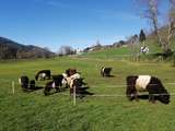 Quereinsteiger in die Landwirtschaft.jpg © Privat