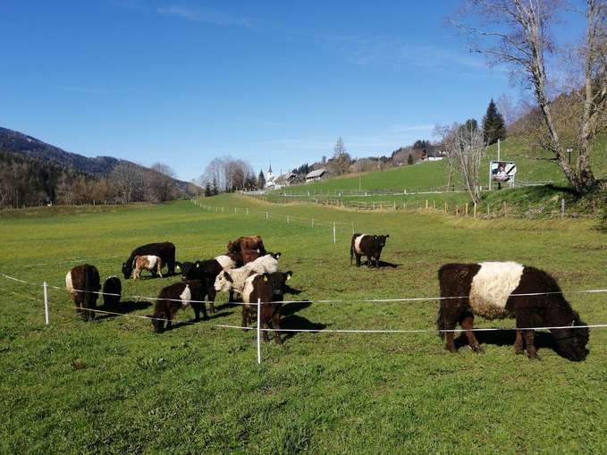 Quereinsteiger in die Landwirtschaft.jpg © Privat Quereinsteiger in die Landwirtschaft.jpg © Privat