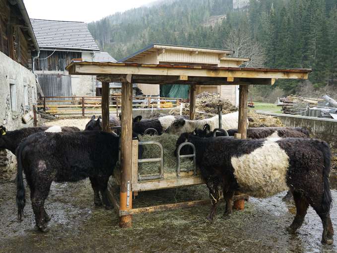 Quereinsteiger in die Landwirtschaft.jpg