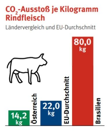 CO2-Ausstoß je kg Rindfleisch.jpg © Quellen: Umweltbundesamt – Treibhausgasbilanz 2020 Europäische Kommission – Joint Research Center, Leip. et al. 2010 CO2-Ausstoß je kg Rindfleisch.jpg © Quellen: Umweltbundesamt – Treibhausgasbilanz 2020 Europäische Kommission – Joint Research Center, Leip. et al. 2010