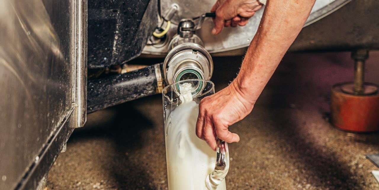 Milch aus Milchtank.jpg