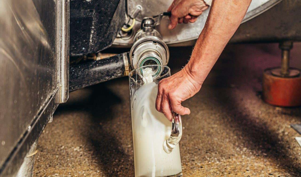 Milch aus Milchtank.jpg © Georg Pomaßl/LK Niederösterreich