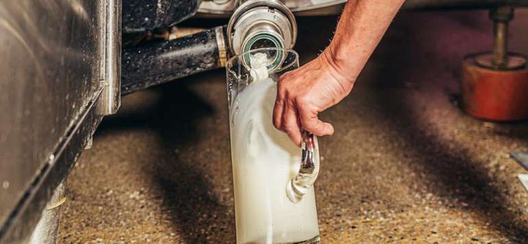 Milch aus Milchtank.jpg © Georg Pomaßl/LK Niederösterreich