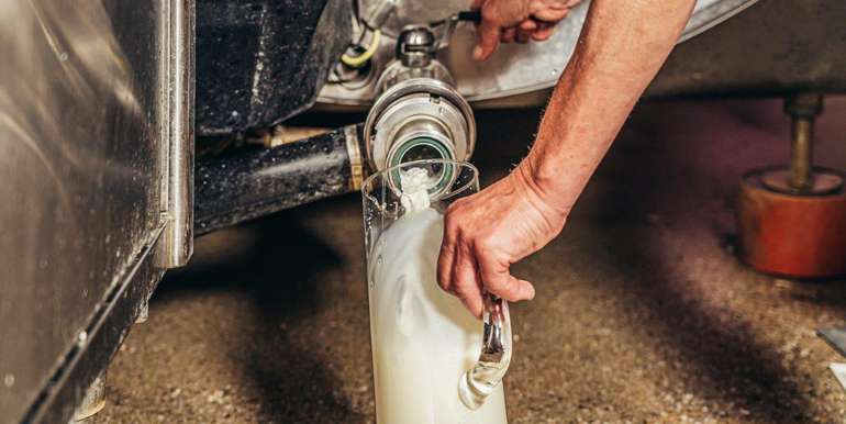 Milch aus Milchtank.jpg © Georg Pomaßl/LK Niederösterreich Milch aus Milchtank.jpg © Georg Pomaßl/LK Niederösterreich