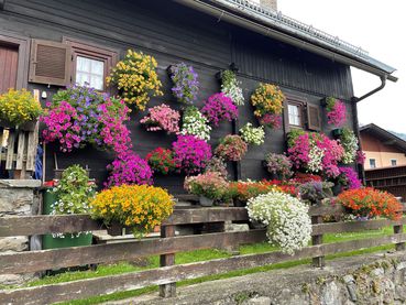 B-Bewerb Bauernhöfe Blumenolypiade.jpg © Kärntner Gärtner