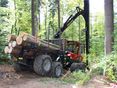 Holzeinschlag © Landwirtschaftskammer OÖ/Danninger