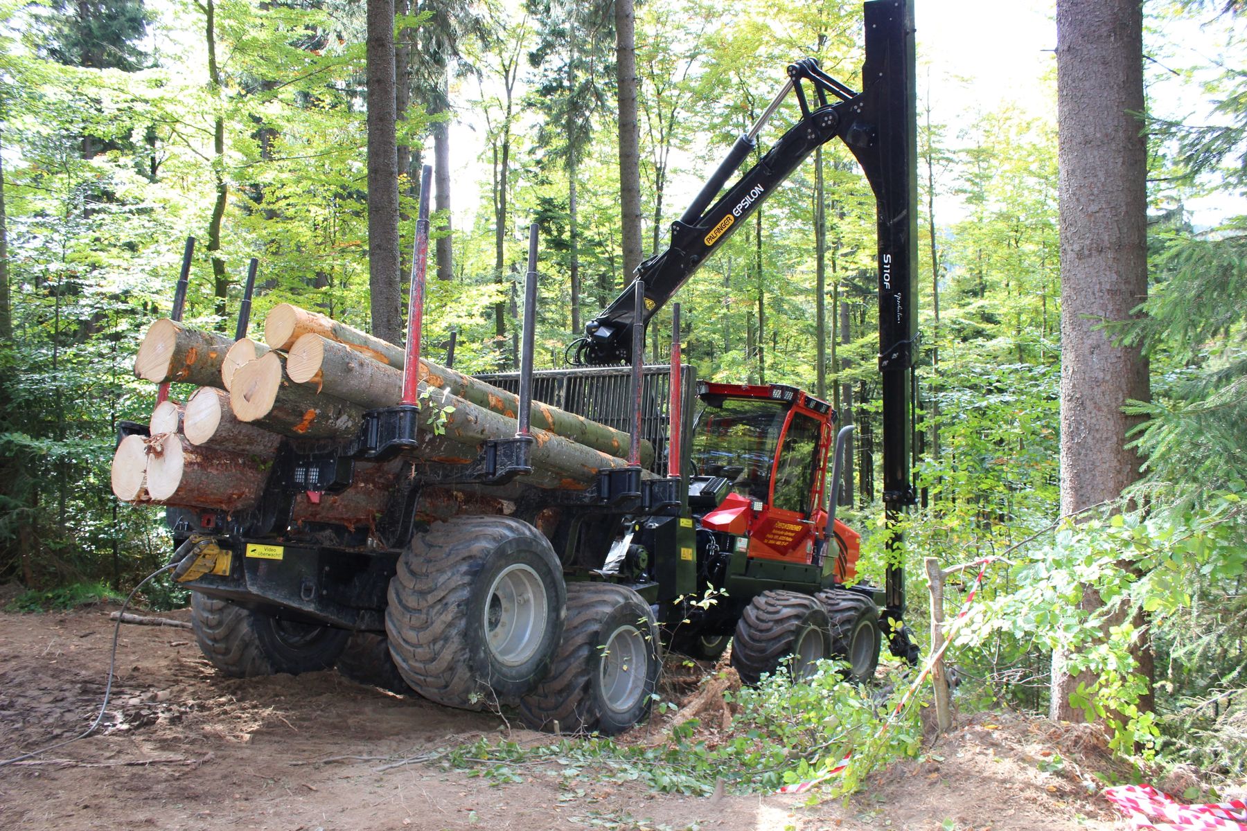 Der Holzeinschlag 2022 besticht durch vermehrte Pflege und Ernte in Laubwaldbeständen. © Landwirtschaftskammer OÖ/Danninger