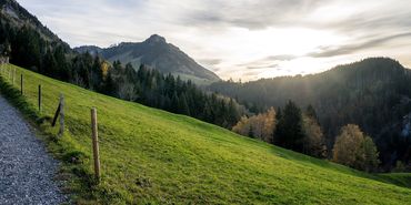 Videos Österreich | Aufmacher Vorarlberg © Leonhard Niederwimmer auf Pixabay