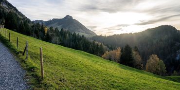 Videos Österreich | Aufmacher Vorarlberg © Leonhard Niederwimmer auf Pixabay Videos Österreich | Aufmacher Vorarlberg © Leonhard Niederwimmer auf Pixabay