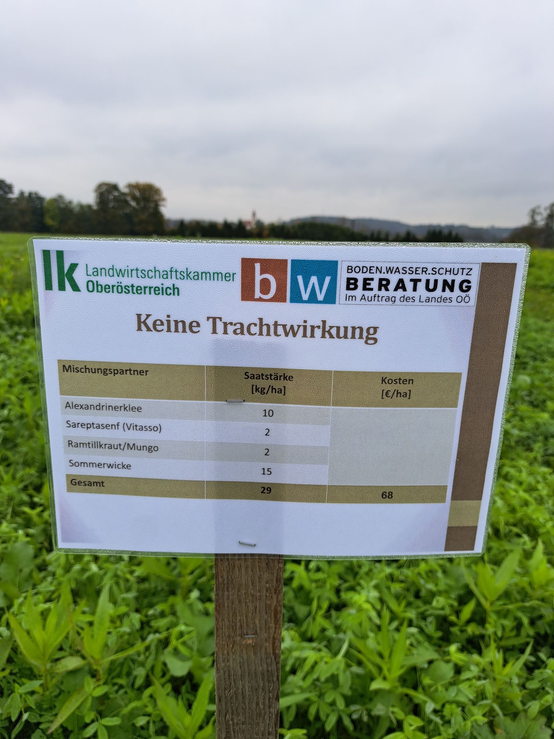 Bad Wimsbach © BWSB Bad Wimsbach © BWSB