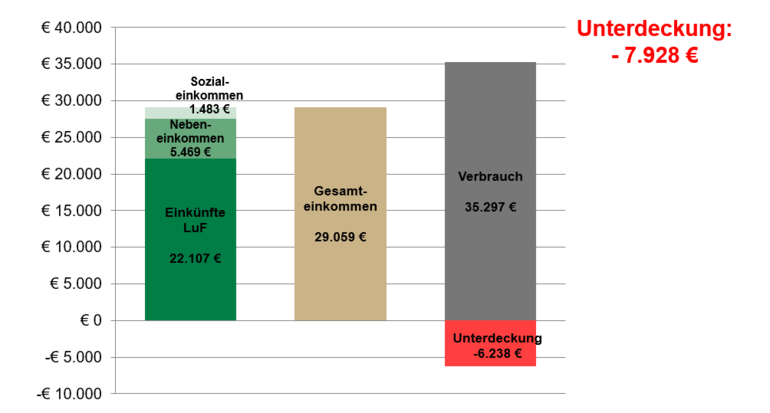 Betriebsbeispiel_Ergebnis Buchhaltung.png © LK Niederösterreich Betriebsbeispiel_Ergebnis Buchhaltung.png © LK Niederösterreich