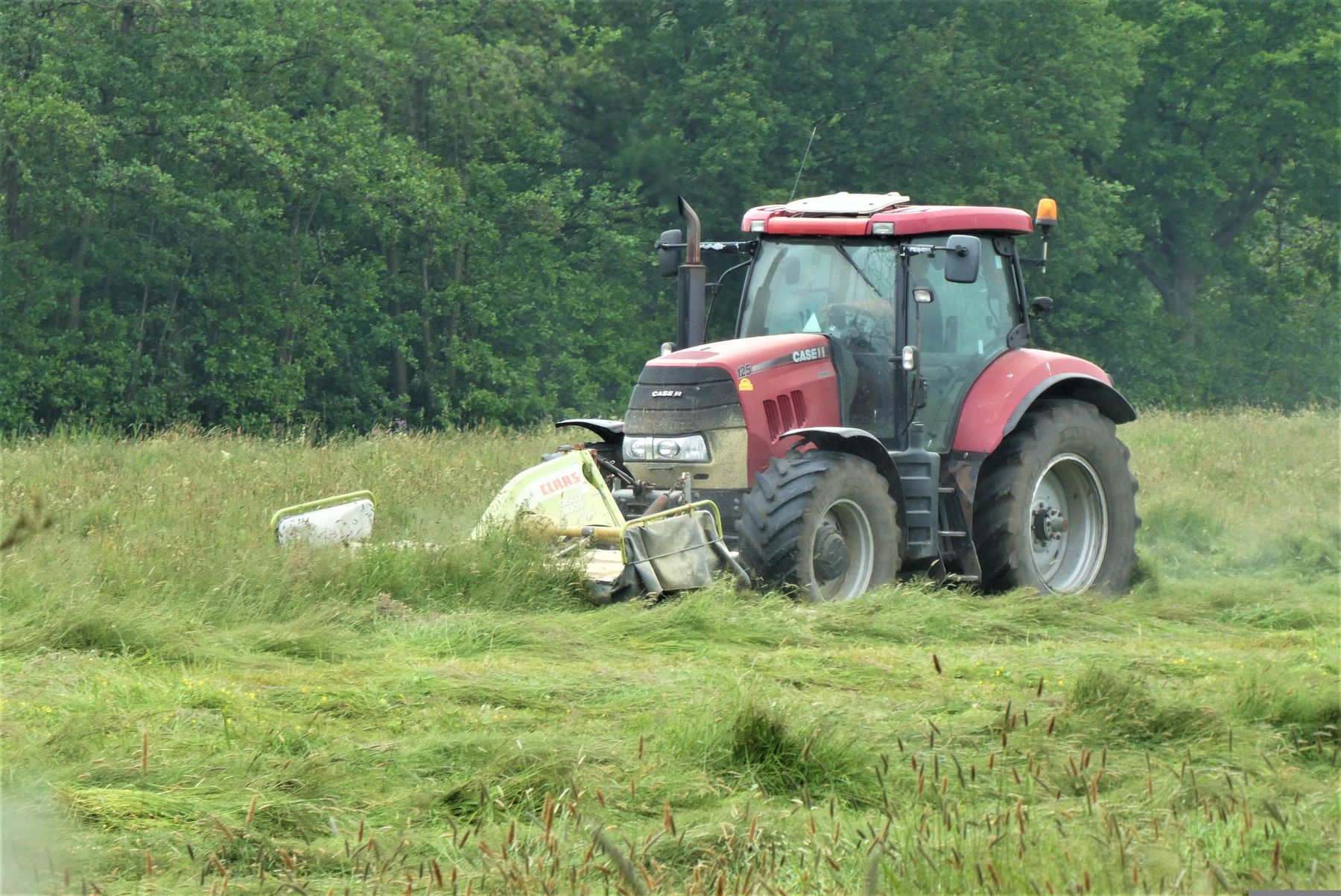 Traktor mäht eine Wiese