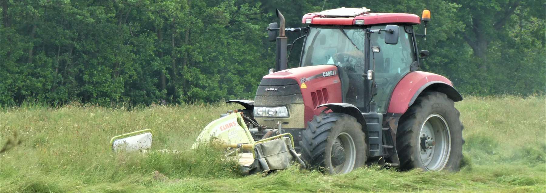 Traktor mäht eine Wiese