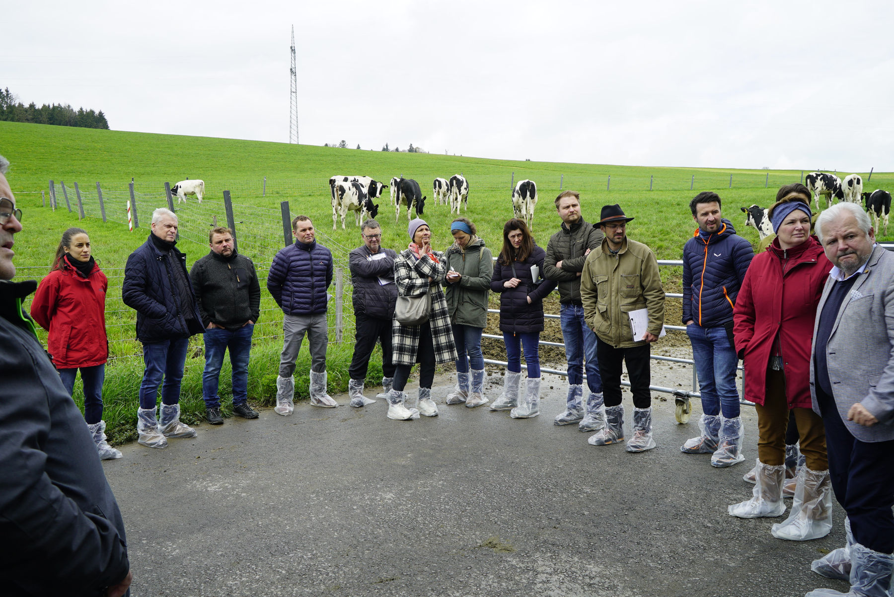 Bio-Weide: Flexiblere Regelungen für mehr Tierwohl gefordert.jpg © Kronreif Bio-Weide: Flexiblere Regelungen für mehr Tierwohl gefordert.jpg © Kronreif