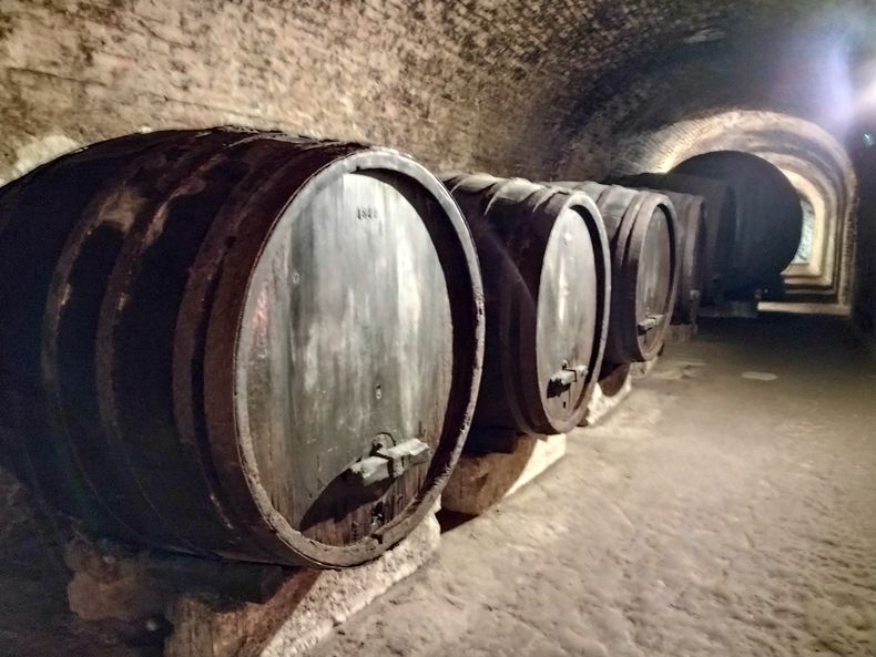 2023 Exkursion Eggenburg und Retzerland 2023 Exkursion Eggenburg und Retzerland