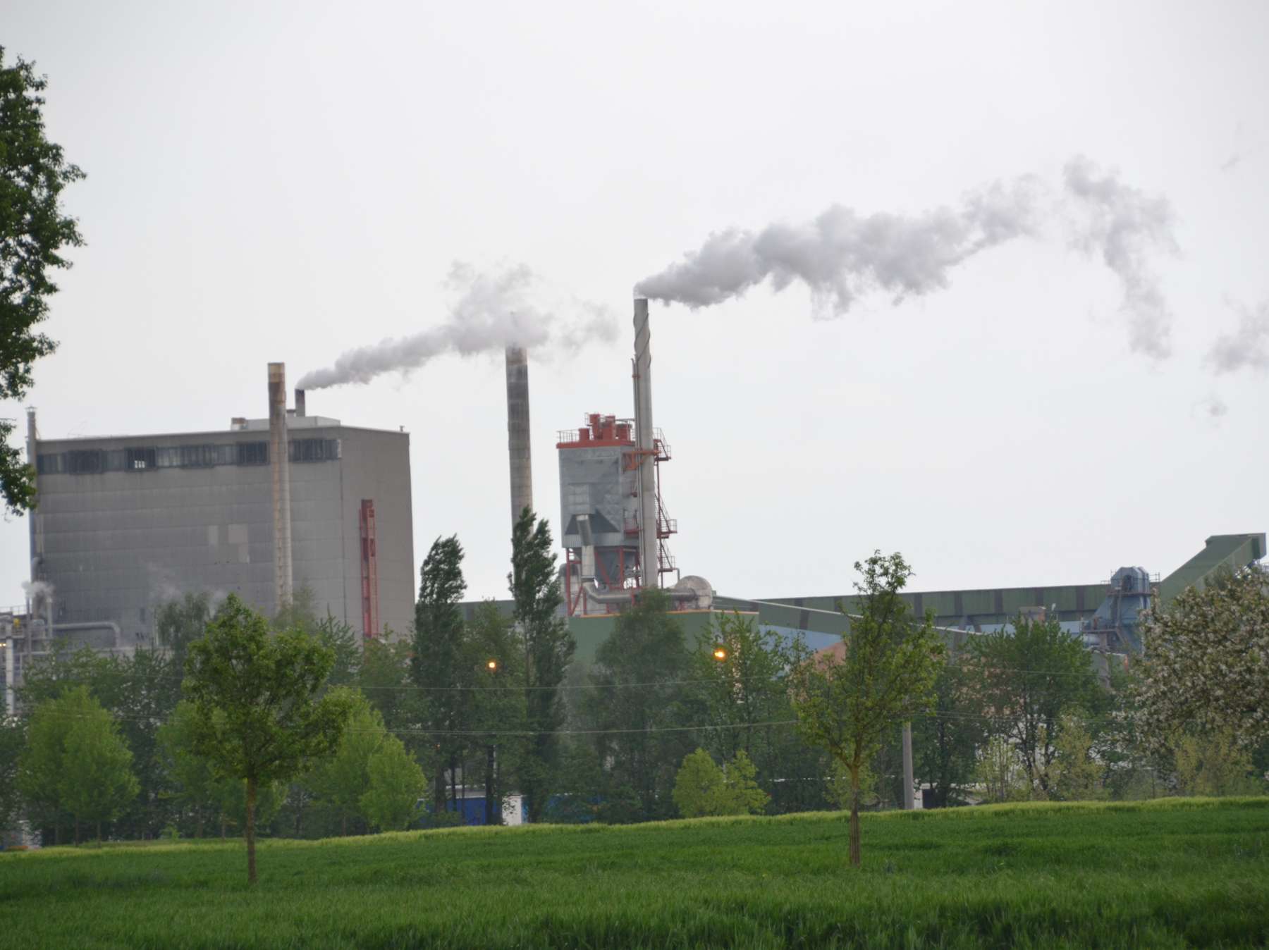 Bei der Pflanzenschutzarbeit auf den Wind achten.jpg © LK OÖ/Köppl Bei der Pflanzenschutzarbeit auf den Wind achten.jpg © LK OÖ/Köppl