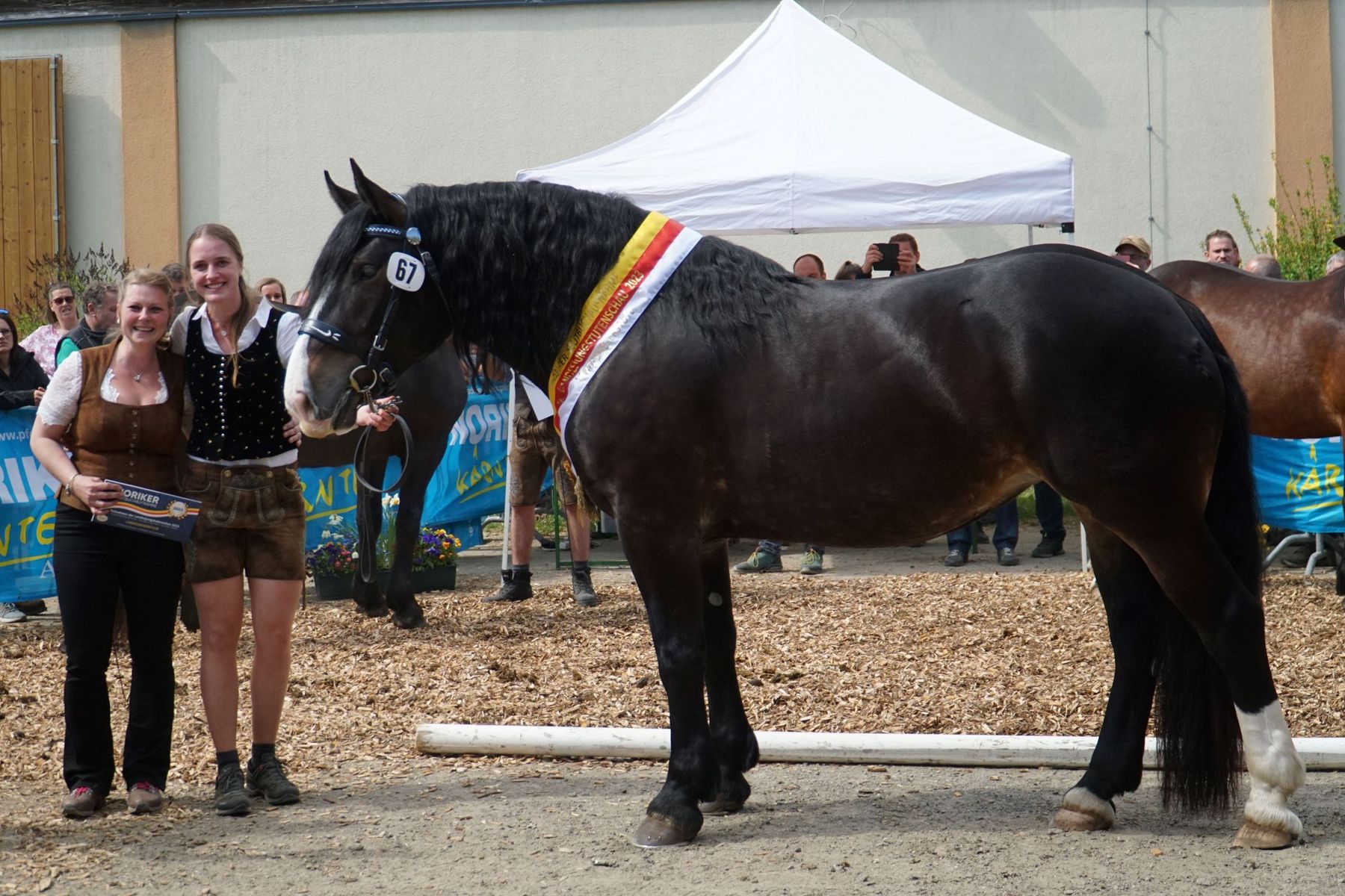 Landessiegerin Farah n. Taunus Vulkan XVII B. BGM Moser  Tarmann Feistritz G .jpg