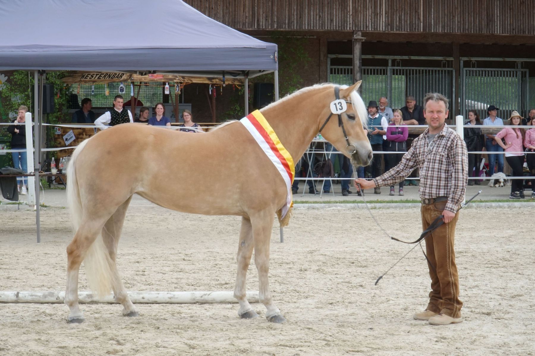 2. Landesreservesiegerin Casablanca n. Sturmwind B. Michael Glanzer Stall im Mölltall.jpg