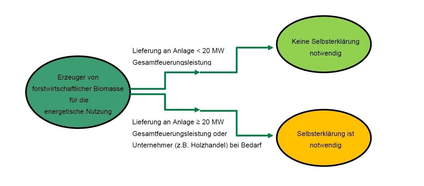 Voraussetzungen zur Abgabe einer Selbsterklärung © LKÖ Voraussetzungen zur Abgabe einer Selbsterklärung © LKÖ