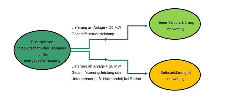 Voraussetzungen zur Abgabe einer Selbsterklärung