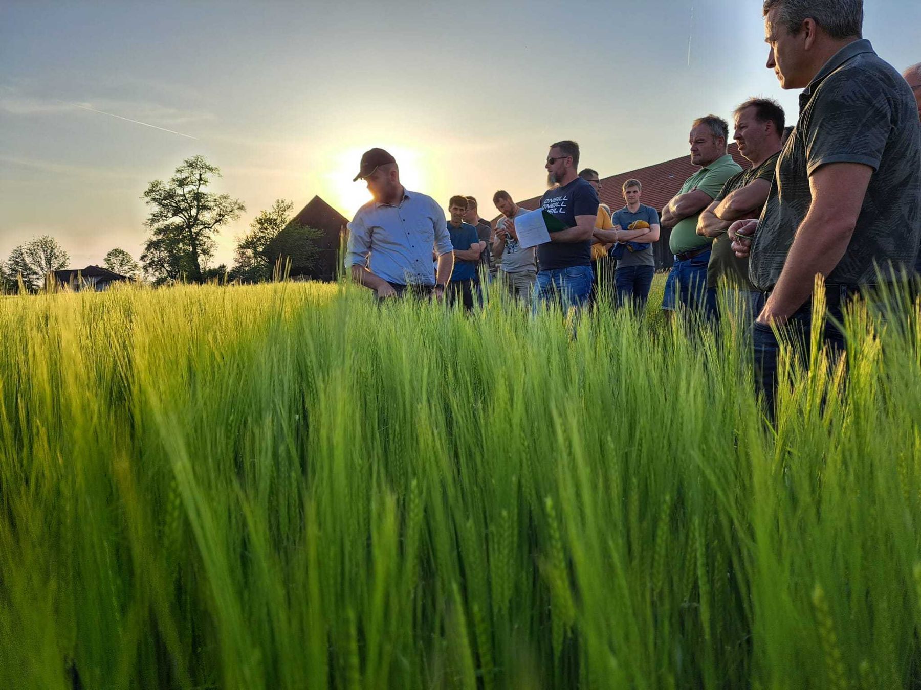 Gewässerschonende Strategien in Mais, Sojabohne, Weizen und Wintergerste waren heute die Diskussionspunkte bei der Feldbegehung in Pettenbach. Vielen Dank für das rege Interesse und für die spannenden Diskussionen. © BWSB Gewässerschonende Strategien in Mais, Sojabohne, Weizen und Wintergerste waren heute die Diskussionspunkte bei der Feldbegehung in Pettenbach. Vielen Dank für das rege Interesse und für die spannenden Diskussionen. © BWSB