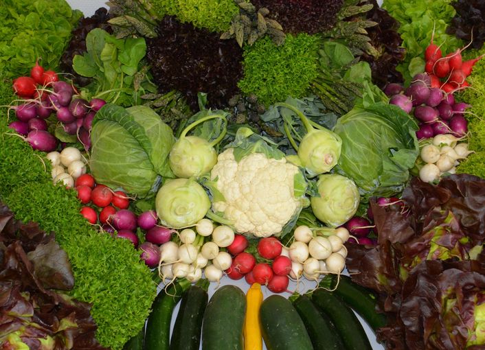 Gemüse allgemein_LK OÖ.jpg © Landwirtschaftskammer OÖ Gemüse allgemein_LK OÖ.jpg © Landwirtschaftskammer OÖ